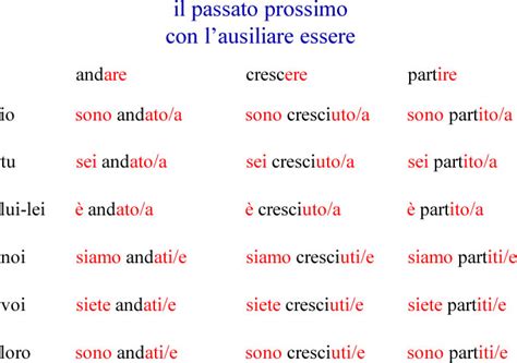 coniugazione essere|essere in passato prossimo.